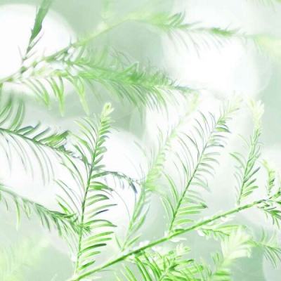 朋友玩屠龙霸业手游下载