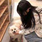 360口袋兽人手游下载